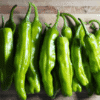 Fresh Shishito Pepper - 1Lbs